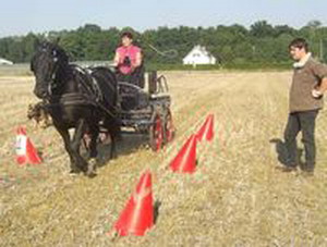 Site de Pierre Estellon