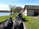 Etang de la Morue
