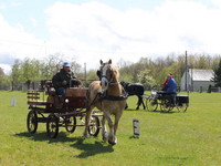 Vrigny avril 2012