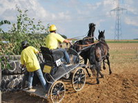 Manchecourt 2010