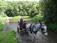 Sorties 2013