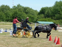 Trainou 2011
