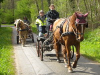 Yonne mai 2012